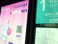 -外高桥保税区南(地铁站)