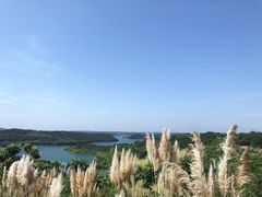 -仙海旅游度假区