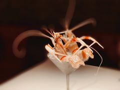 新西兰鳌虾-Osteria Garden 生蚝花园餐厅(原进贤路店)