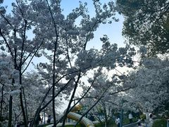 -杭州少年儿童公园