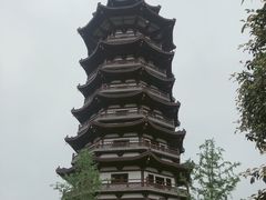 -洋湖国家湿地公园
