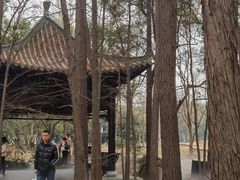 -东湖落雁景区