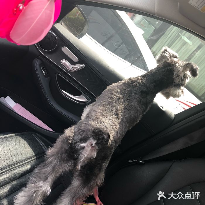 诺威宠物医院(官邸分院)图片