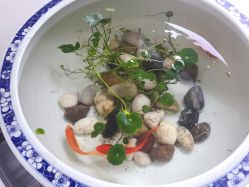 -榕树上·瑜伽普拉提