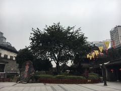 -泸州老窖景区