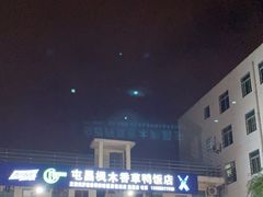 -霞姐屯昌枫木香草鸭店(海螺店)