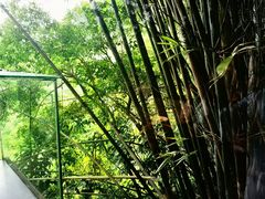 -凤阁楼果木烧鹅(鹤山陈山店)