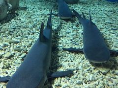 -福州罗源湾海洋世界旅游区