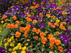 -亭下湖饭店(康岭店)