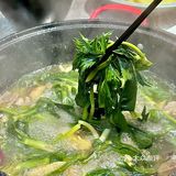 假芫茜汤煲！清远独一份吗 🤤肉鲜汤清甜