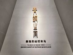 -秦始皇帝陵博物院-丽山园