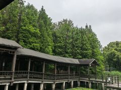 -溱湖国家湿地公园