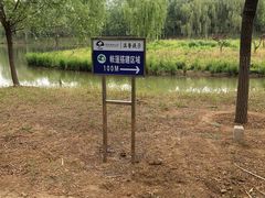 -东郊湿地公园