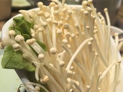 -掂档潮汕牛肉火锅(沈阳万象城店)