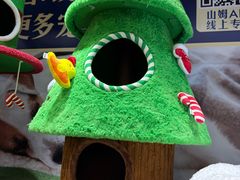 -山姆会员商店(上海浦东店)
