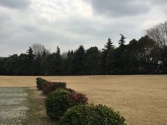 -春兰国宾馆(凤城河风景区老街店)