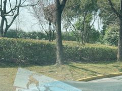 -颖奕安亭高尔夫俱乐部