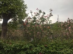 -浈阳坊旅游小镇