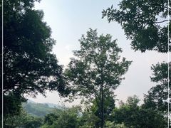 -梧桐山风景名胜区