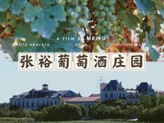 -北京张裕爱斐堡酒庄