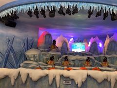 -帝企鹅自助餐厅•儿童岛•真企鹅(长隆企鹅酒店)