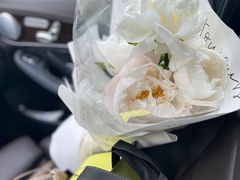 -双季花艺园艺市场(浦东店)