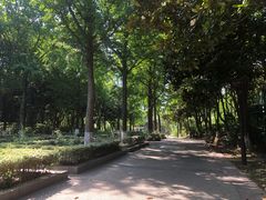 -苏州河梦清园环保主题公园