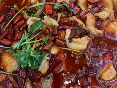 水煮鱼-成都驻京办餐厅(蜀都宾馆店)