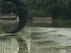 -昆山城市生态森林公园