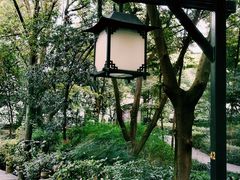 -成都市活水公园