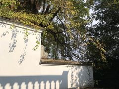 -溪口-滕头旅游景区