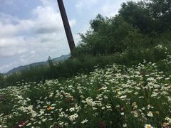 -长白山万达喜来登度假酒店