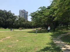 -四海公园(南山区)