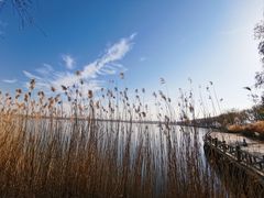 -野鸭湖国家湿地公园