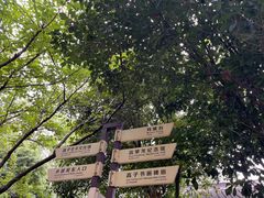 -高子水居