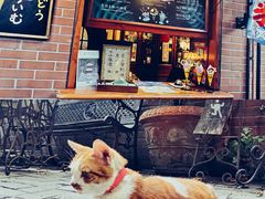 -古董花园(思南路42弄小区店)