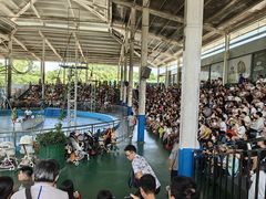 -泉州海丝野生动物世界