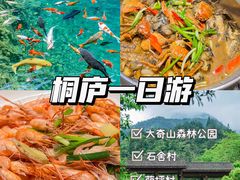 -小乡小镇·传承桐庐土菜·老板亲自烧的菜