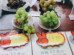 -马陆小张葡萄园农家乐