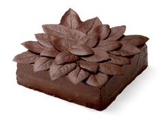 椰蓉可可蛋糕-21cake廿一客蛋糕