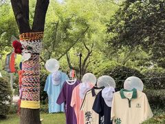 -上海市实验学校