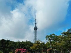 -文华公园(禅城区)