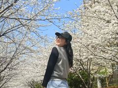 -高东镇樱花园