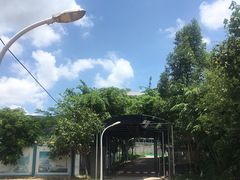 -厦门理工学院(集美校区)