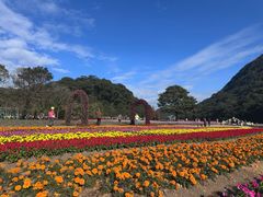 -广州市石门国家森林公园
