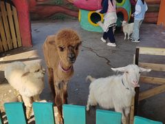 -欢乐水魔方水世界