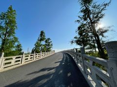 -广富林郊野公园
