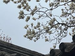 -北京石刻艺术博物馆(五塔寺)