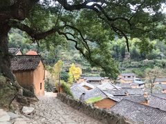 -杨家堂村