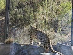 -青藏高原野生动物园